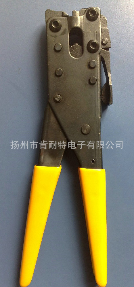 157324133_250674945_副本